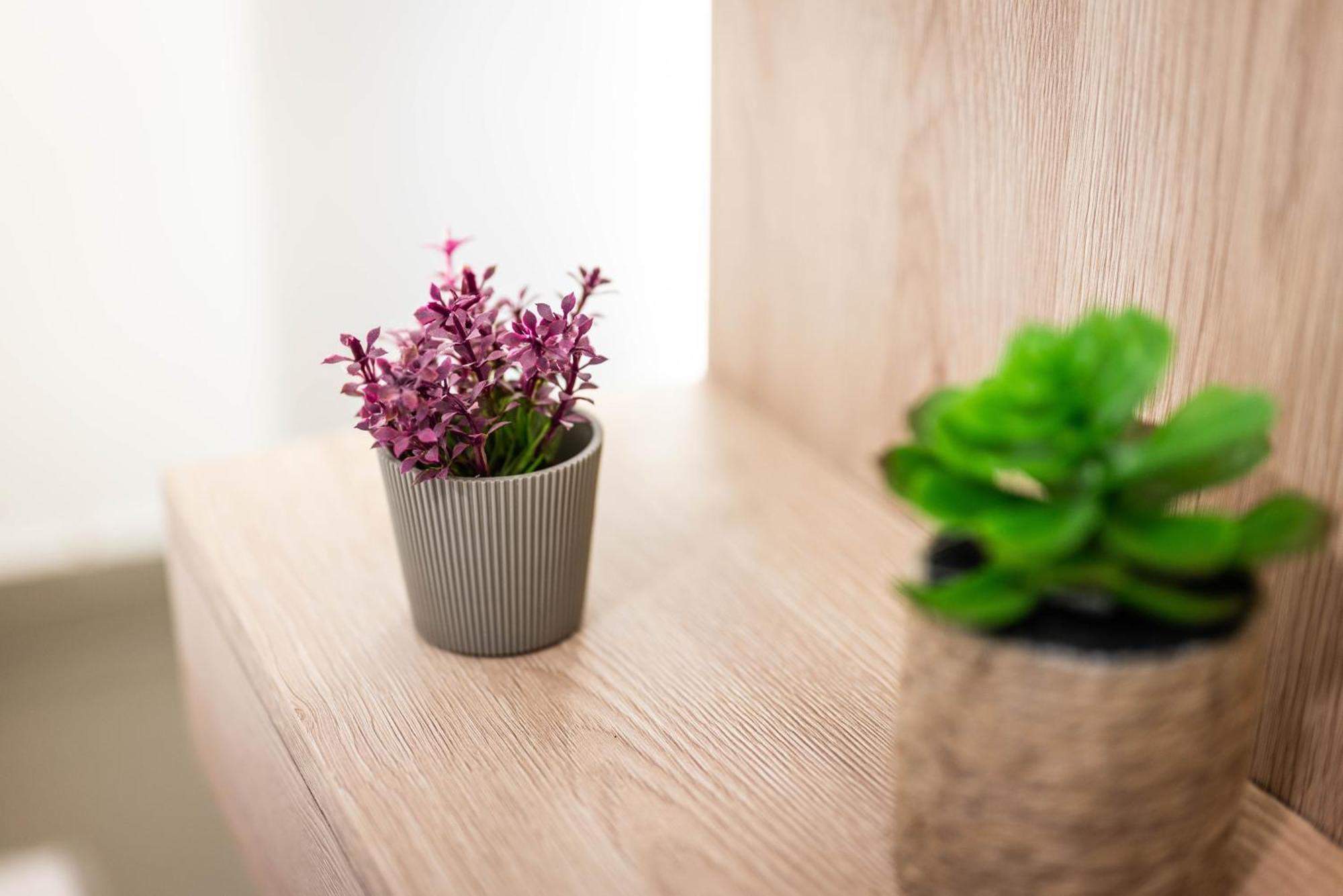 Studio Apartment Cudo Nevidjeno Karuc Kültér fotó